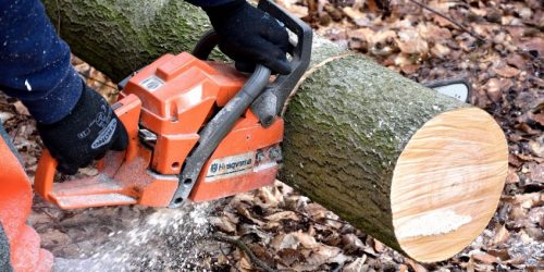 Tree Removal, Tree Service, Tree Trimming